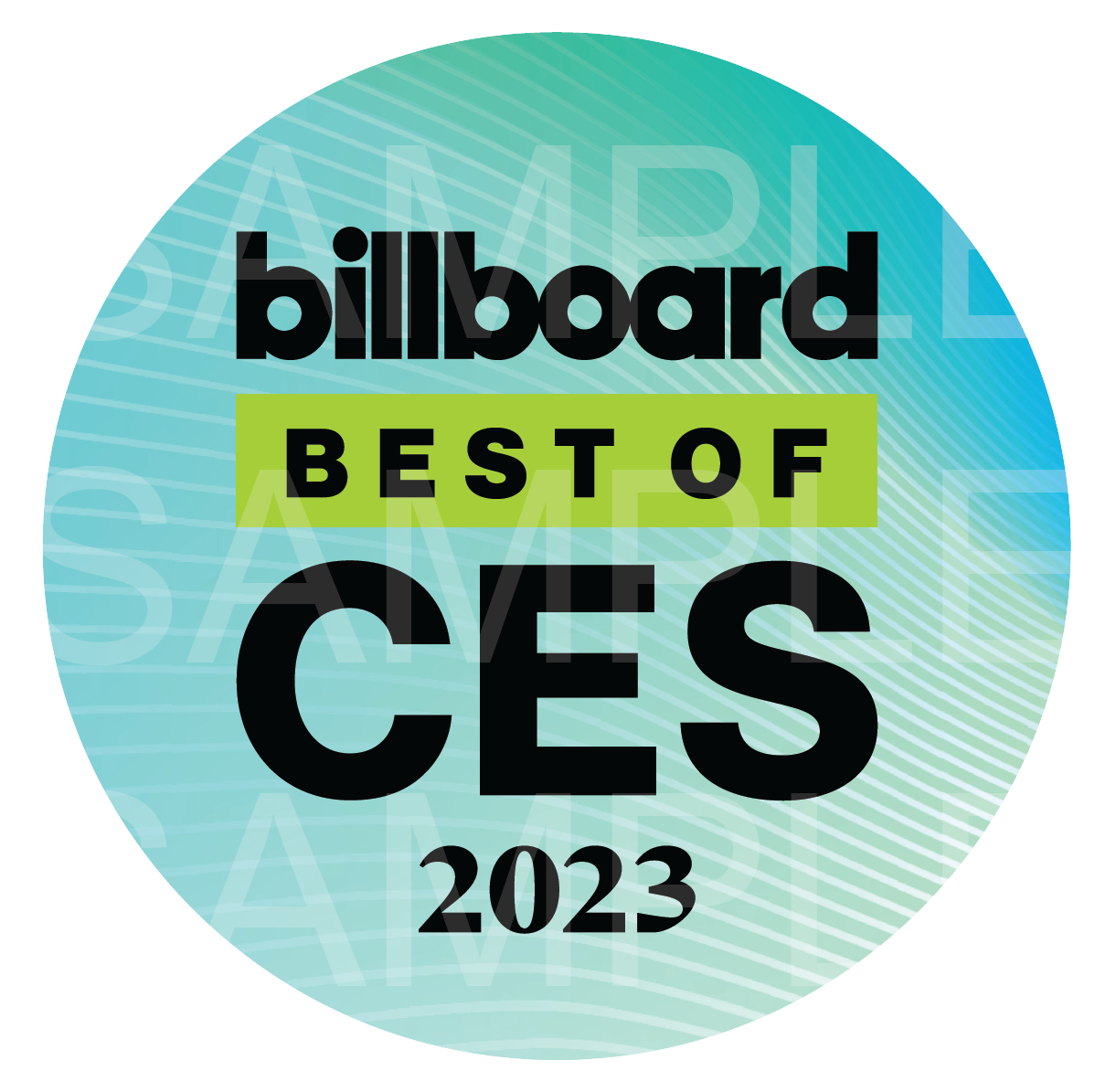 CES 2023 Award